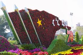 2026美加墨世界杯官网 保山宜良绿化树苗批发市场